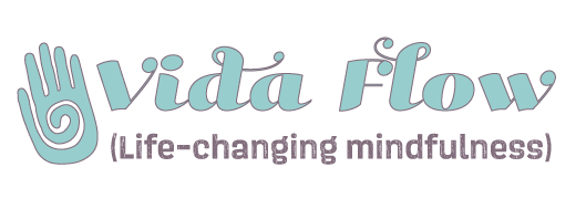 Vida-flow-logo-final-revised.gif