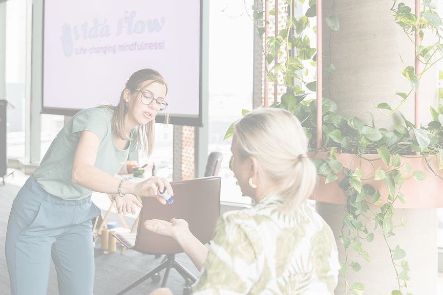 vida-flow-corporate-mindfulness_edited.png