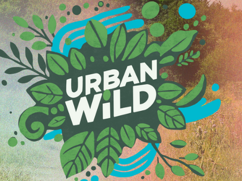 Urban Wild Festival 2025: Call for Event Hosts