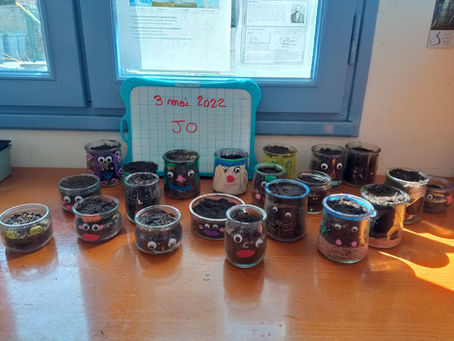 Projet jardin : plantations et expériences en CE2 CM1 CM2