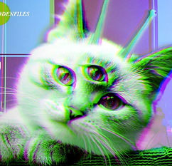 dia 4_edited.jpg