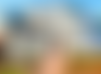 Maximizing Your Home's Appeal: Writing Winning Property Descriptions