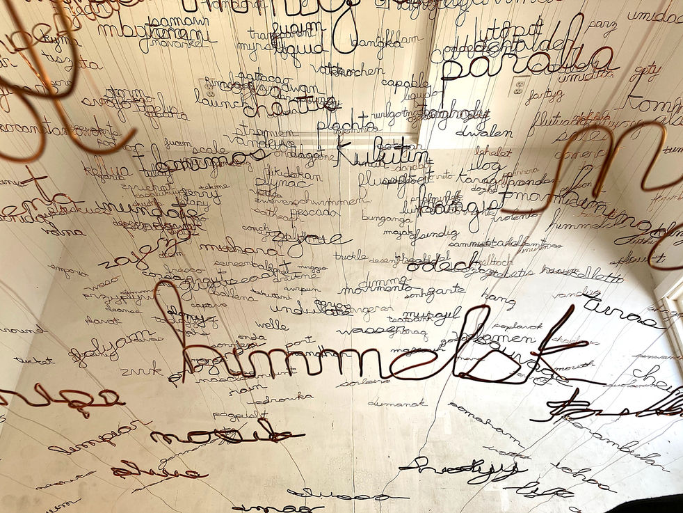 Wecambywater.lookdown sm copy.jpeg