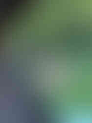 Bubba Brews BBQing on the water