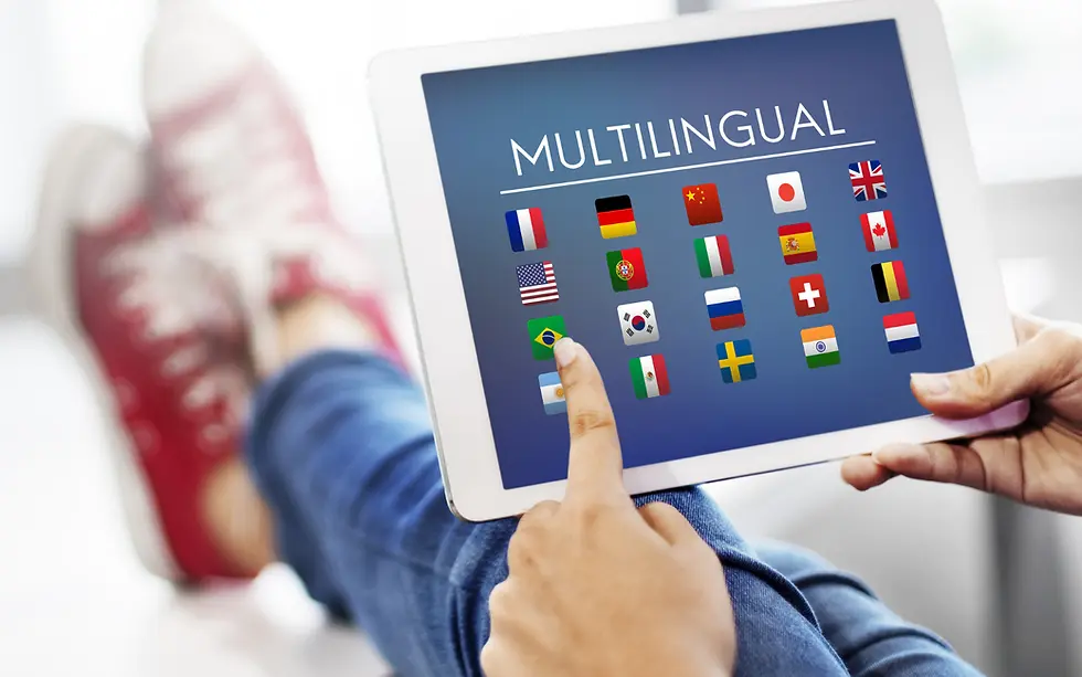 Blumdata multi-language sites