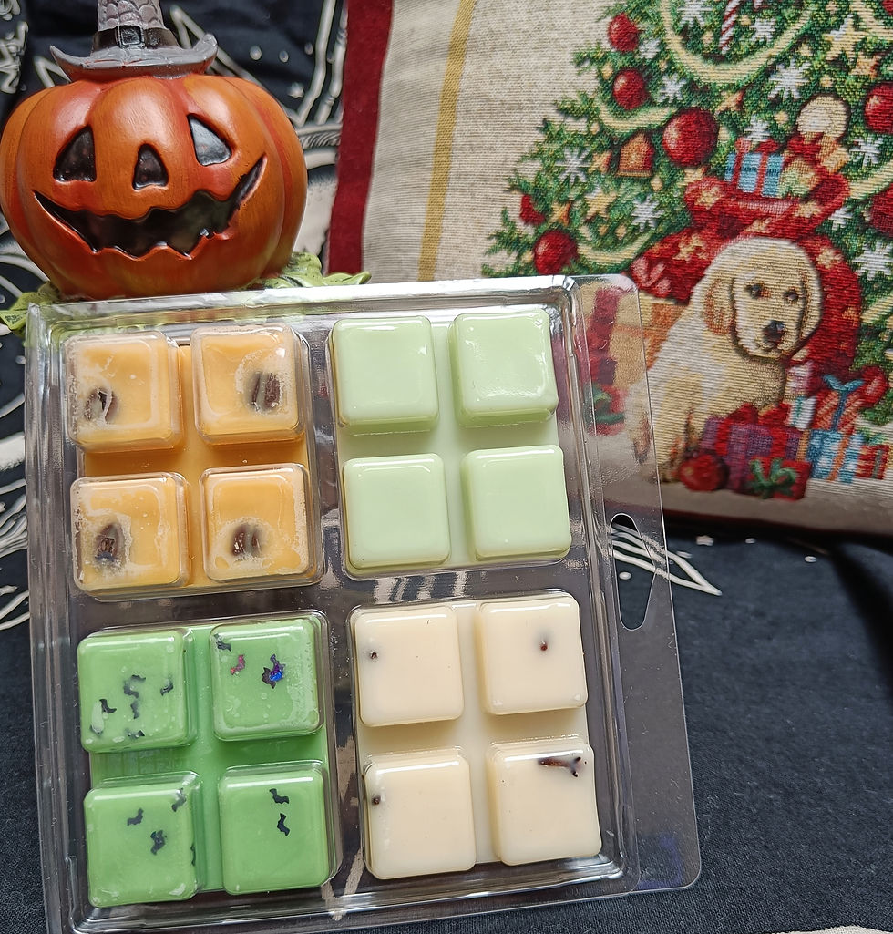 Autumn & Winter wax melt set