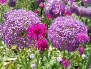 What motivates your creativity?