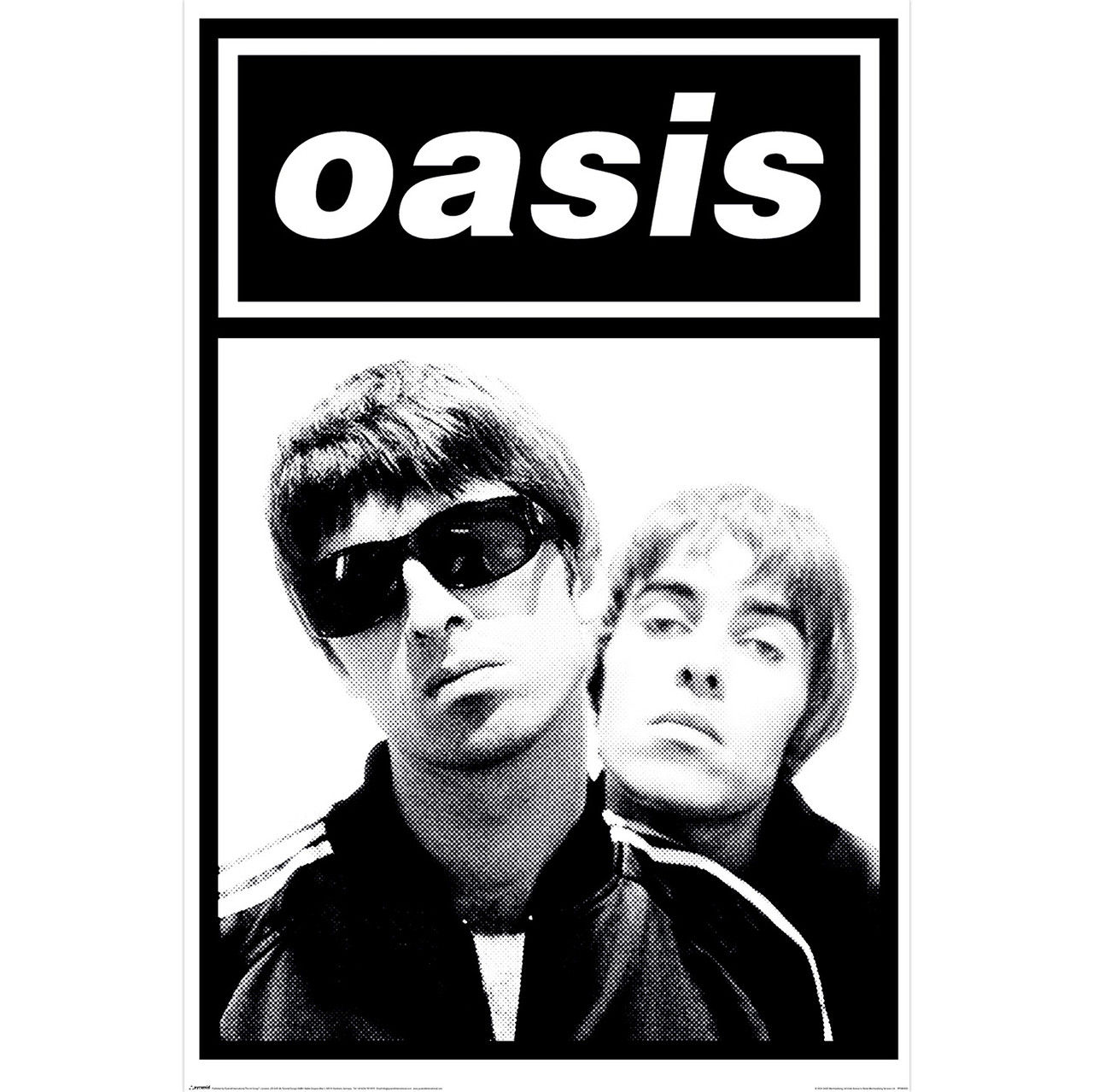 Oasis - Gallaghers - Maxi Poster - Poster