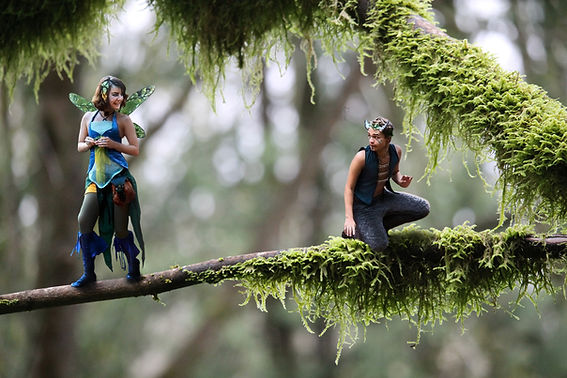 A fairy and a satyr alight upon a mossy branch. I have photoshopped my friends into a picture I took.