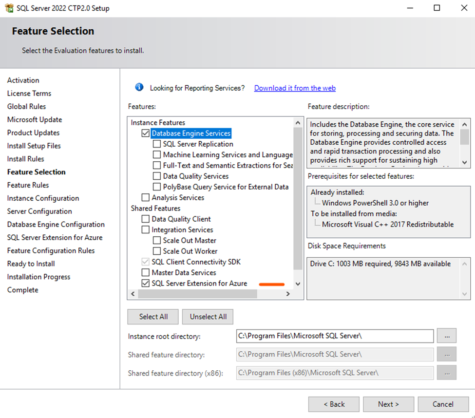 SQL Server Instance features
