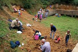 excursie naar de Staringgroeve in Losser. En bezoek aan het Geologie museum