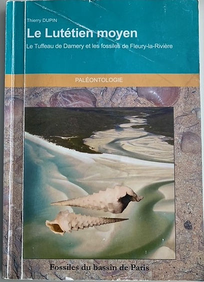 Le Lutétien moyen Le Tuffeau de Damery et les fossiles de Fleury-la-Rivière
