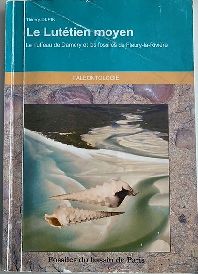 Le Lutétien moyen Le Tuffeau de Damery et les fossiles de Fleury-la-Rivière