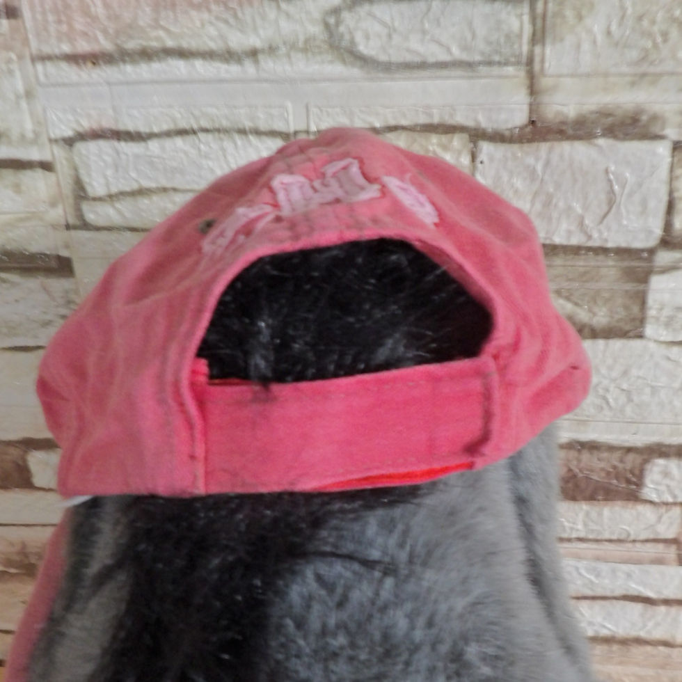 Miniature : Casquette High School Musical (555)