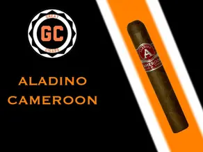 Aladino Cameroon Super Toro