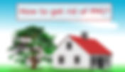 Ways to Get Rid of PMI