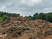 7-18-23 - Stump Dump.jpg