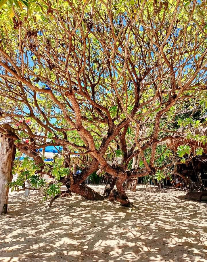 WhatsApp Image 2024-04-03 at 10.33.44_b0df6a50