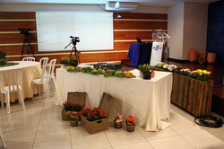 Semana Inovação Sebrae