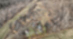 Drone Photo 2
