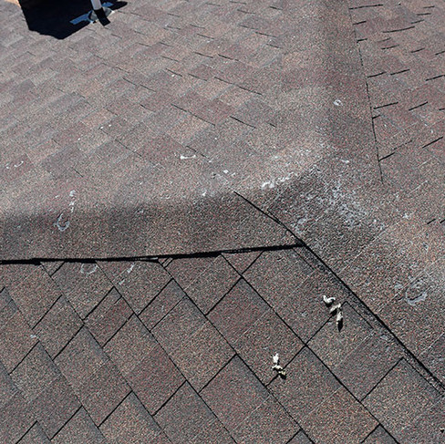 Damage on residential roof shingles
