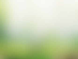 One Piece: Bu Imu Teorisi Aklınızı Başınızdan Alacak!