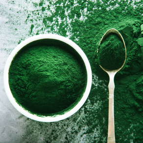 Spirulina one of the most curative and prophylactic foods 