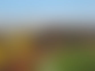 Should Post-Secondary Schools Have Mandatory Sexual Violence Education? (Western U Update)