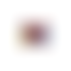 Ryerson University or ‘X’ University?