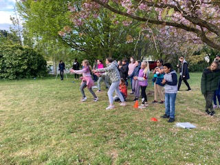 Sports for Fun- Seniors