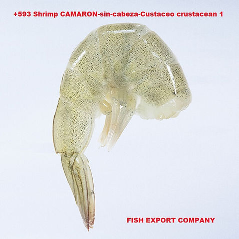 Peninsula Brand Shrimp Camarón Crustáceo Crustacean Ingredientes: Camarón, metabisulfito de sodio (E 223) usado como conserva