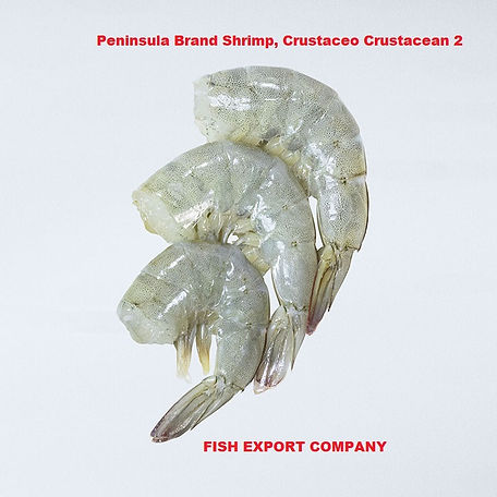 Prime Shrimp Camarón Crustáceo Crustacean Ingredientes: Camarón, metabisulfito de sodio (E 223) usado como conservante. Conti