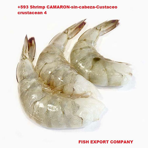 Prime Shrimp Camarón Crustáceo Crustacean Ingredientes: Camarón, metabisulfito de sodio (E 223) usado como conservante. Conti