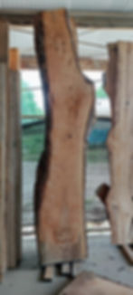 Pecan Live Edge Slab - 118"