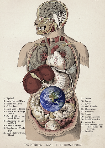 body with earth 3.png