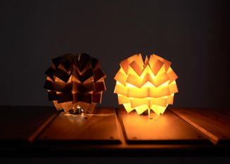 solol walnut | NODELdesign official
