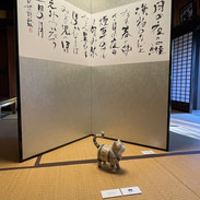 IMG_5296.jpeg