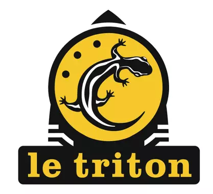 logo_triton.webp