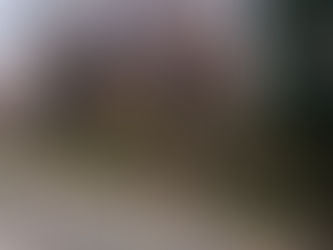 神明神社の境内をみんなで清めてみました!