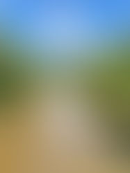 “Less History, More Pictures”