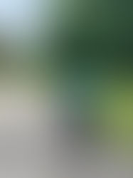 The Sound and the Fury of Cycling