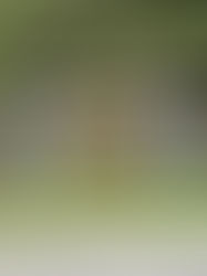 Making Wise Travel Decisions