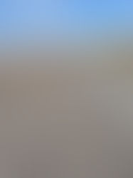 The Bonk vs. The Buffet