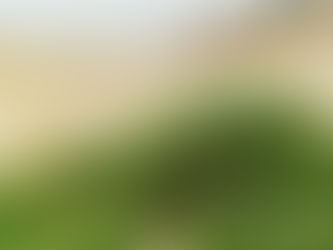 Natural Photograph