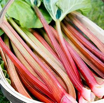 rhubarb.jpg