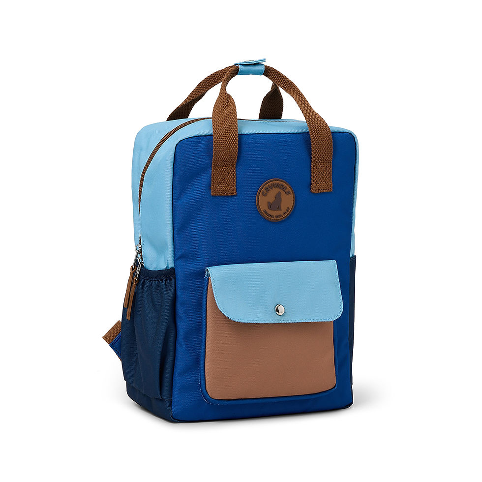 Thumbnail: Mini Backpack Bag Deep Ocean Colourblock Crywolf