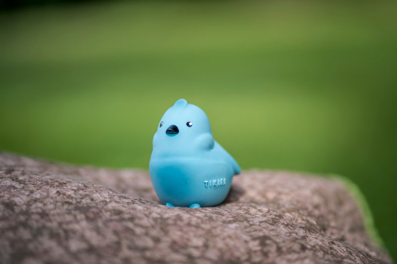 Thumbnail: Bird Garden Friend