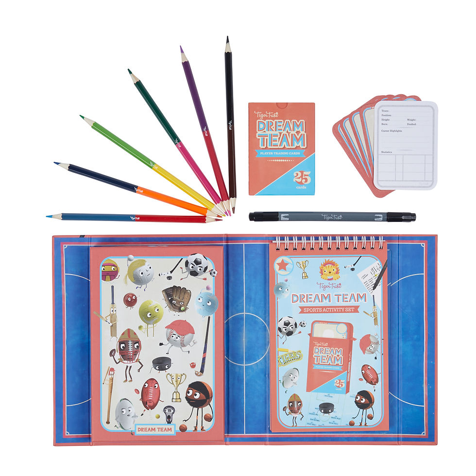 Thumbnail: Dream Team - Sports Activity Set - Tiger Tribe