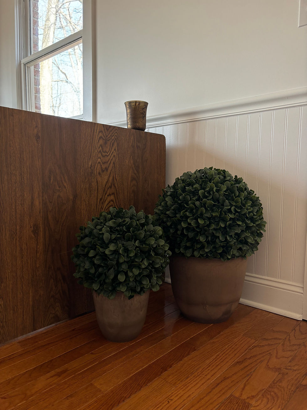 Thumbnail: the dax - large leaf boxwood topiary ball