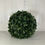 Thumbnail: the dax - large leaf boxwood topiary ball